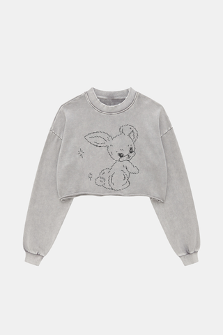 CUTE BUNNY HOTTIE LONG SLEEVE CROP TOP