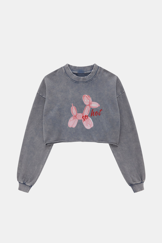 AIR BALLON DOG LONG SLEEVE CROP TOP