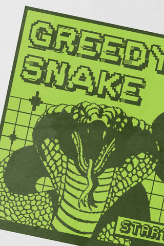 Retro Snake Game